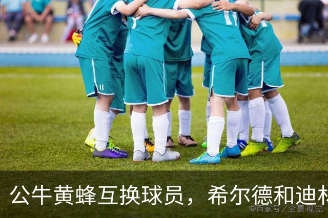 公牛黄蜂互换球员，希尔德和迪林汉姆的“热辣交易”大戏