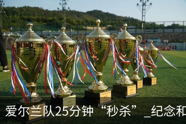 爱尔兰队25分钟“秒杀” 纪念和平的进球仪式