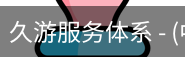 久游服务体系